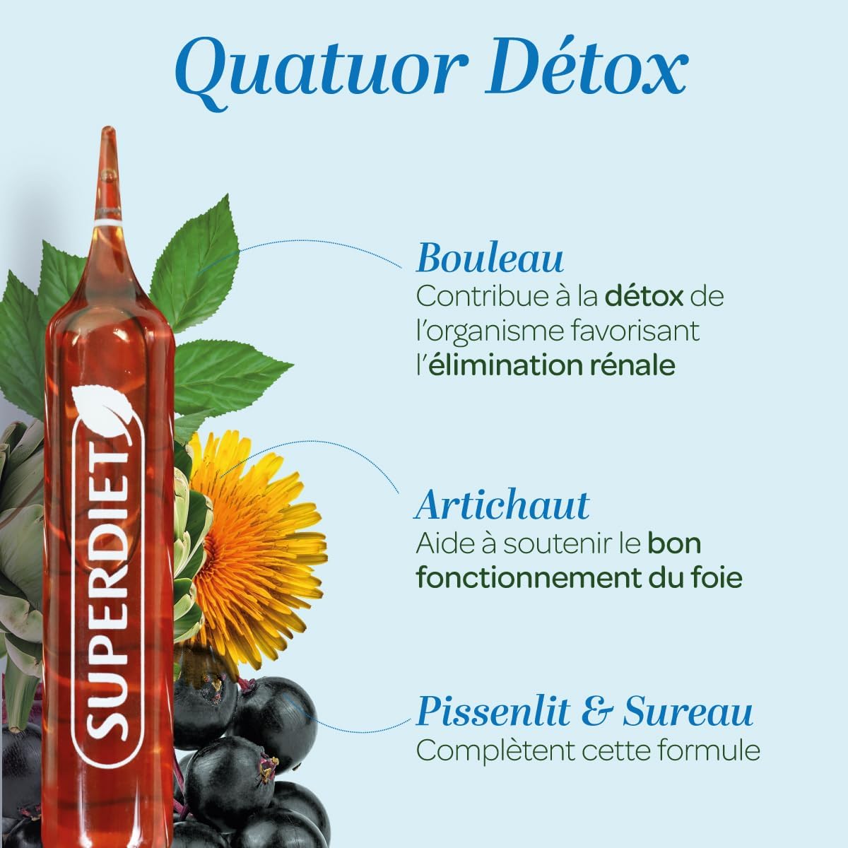 Detox, Organic Drainage - Artichoke, Dandelion, Birch, Elderberry - Bulbs