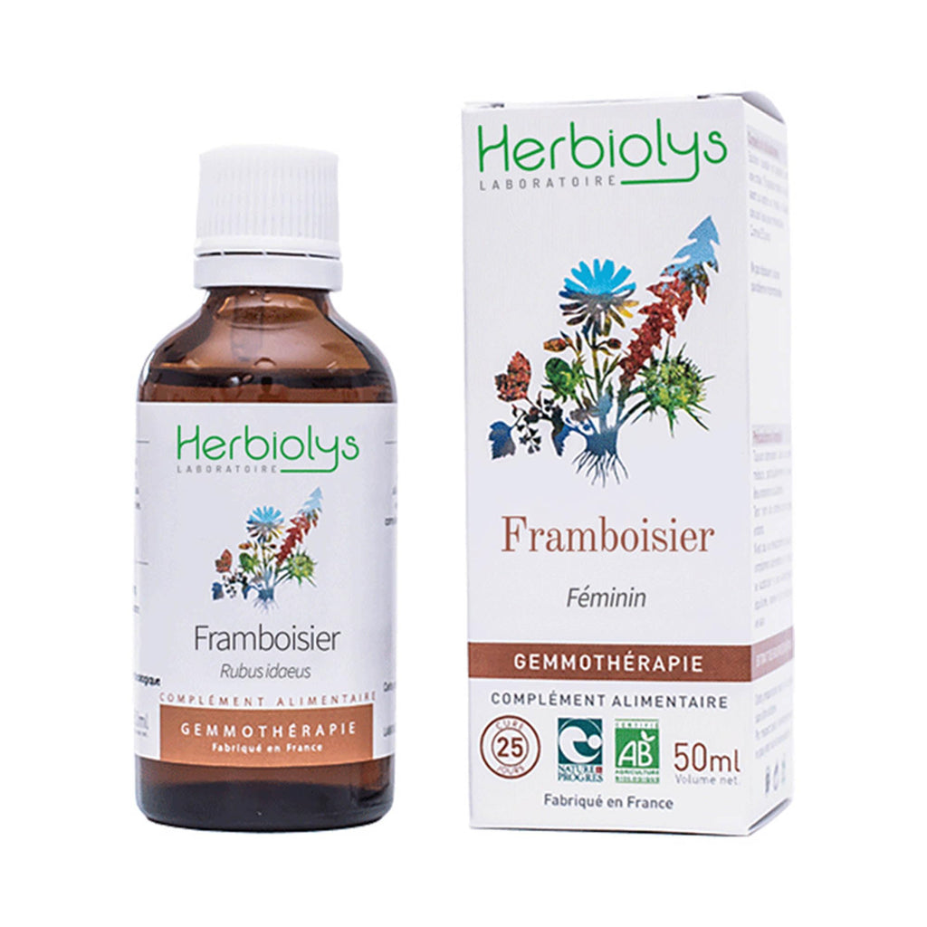 Herbiolys | Organic Bud Macerate | Black Elderberry (Sambucus nigra) | Digestion & Purification | Organic Gemmotherapy | 50 ml
