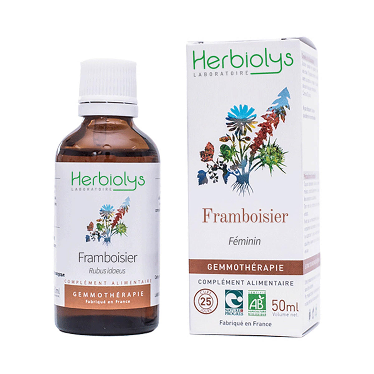 Herbiolys | Organic Bud Macerate | Black Elderberry (Sambucus nigra) | Digestion & Purification | Organic Gemmotherapy | 50 ml