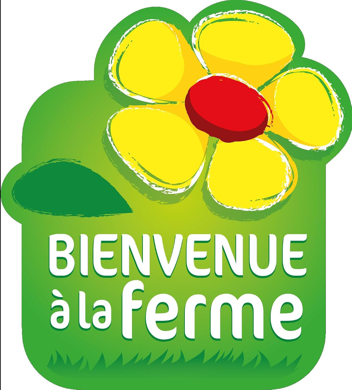 Miel Bio de Normandie (1 Kg), Délicieusement crémeux et récolté à froid | origine France | certifié BIOLOGIQUE | Naturel | Non chauffé | Non Pasteurisé | La Mare aux Abeilles.