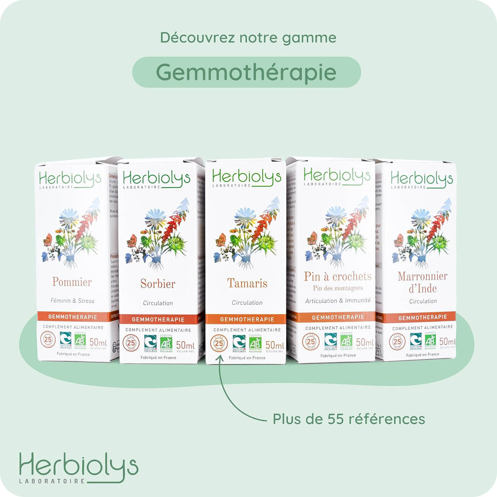 Herbiolys | Organic Bud Macerate | Black Elderberry (Sambucus nigra) | Digestion & Purification | Organic Gemmotherapy | 50 ml