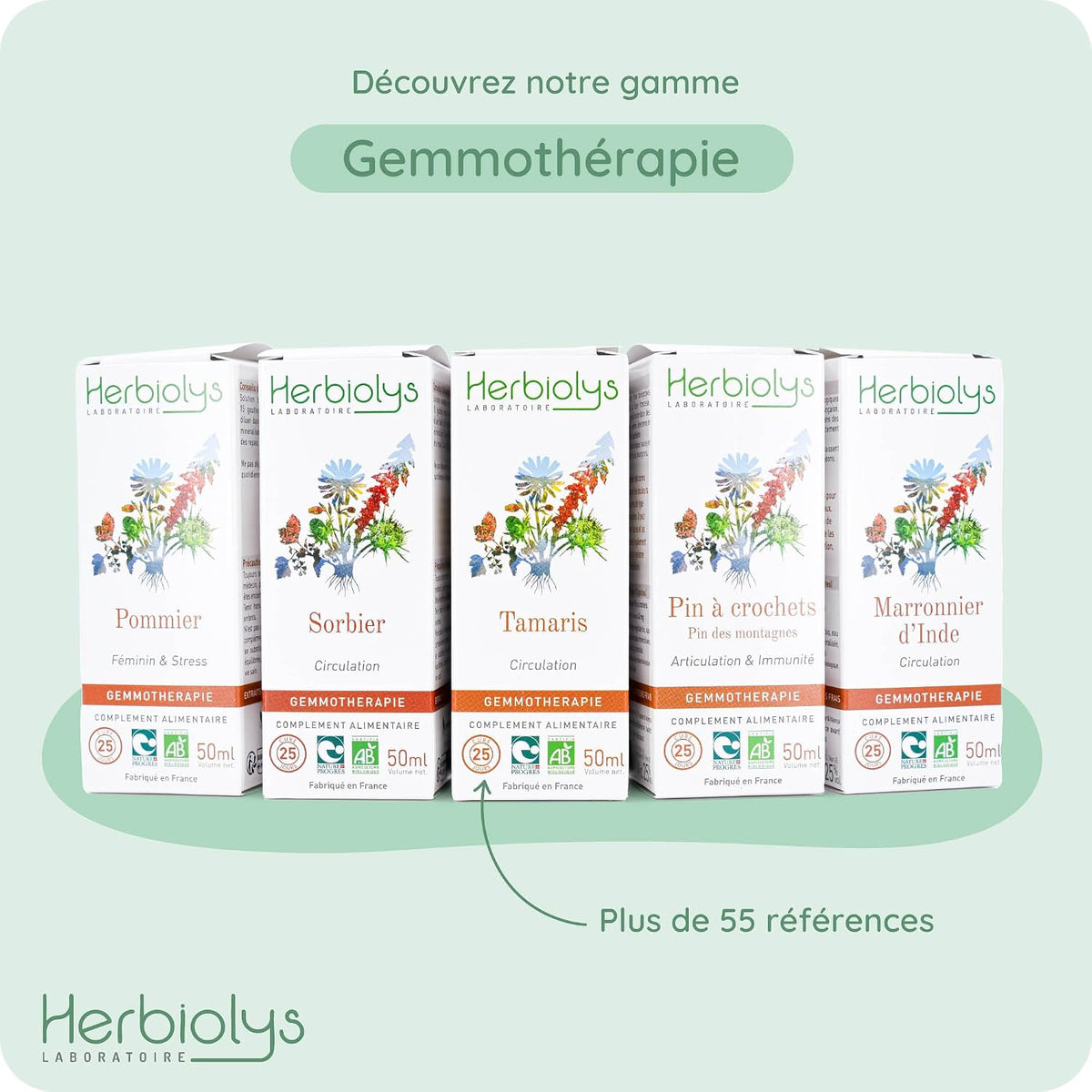 Herbiolys | Organic Bud Macerate | Black Elderberry (Sambucus nigra) | Digestion & Purification | Organic Gemmotherapy | 50 ml