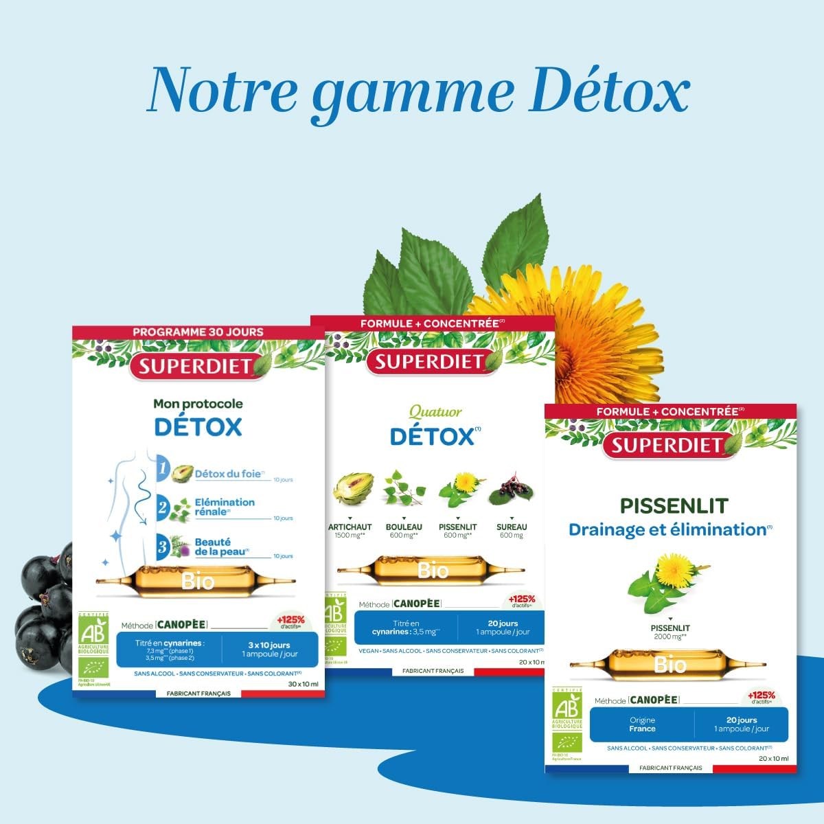 Detox, Organic Drainage - Artichoke, Dandelion, Birch, Elderberry - Bulbs