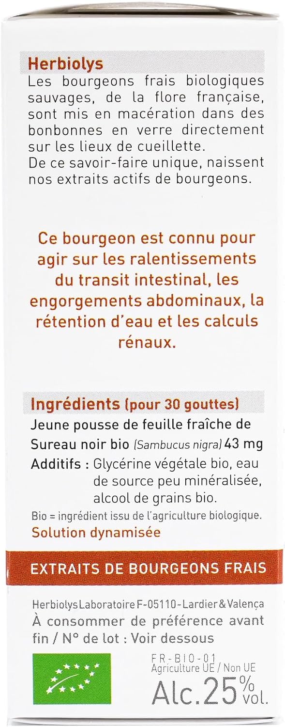 Herbiolys | Organic Bud Macerate | Black Elderberry (Sambucus nigra) | Digestion & Purification | Organic Gemmotherapy | 50 ml