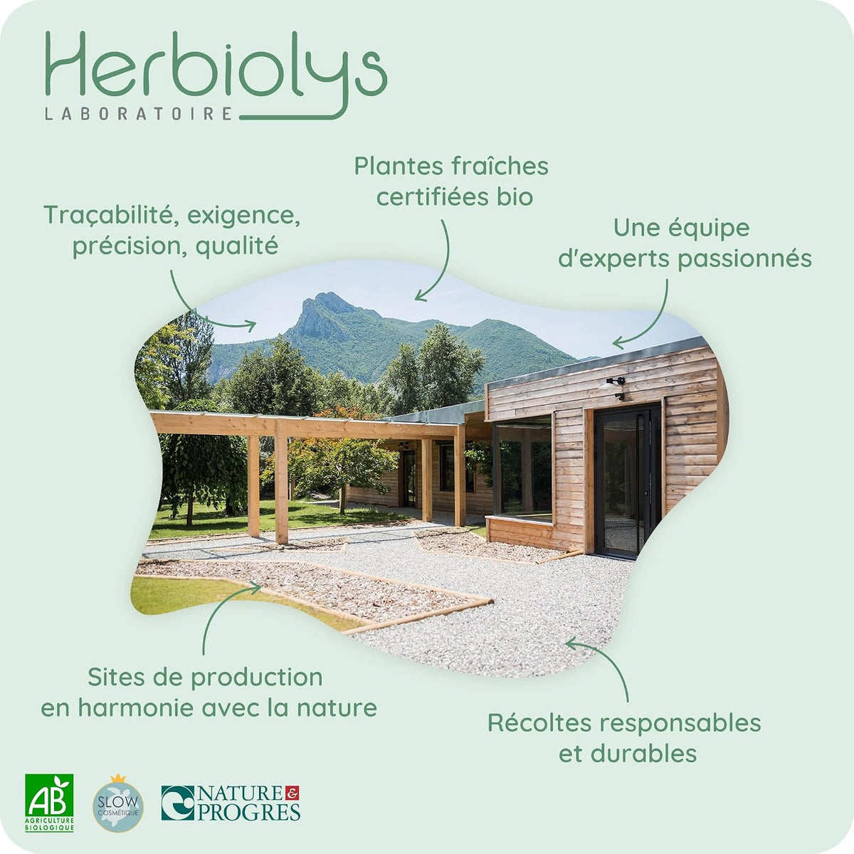 Herbiolys | Organic Bud Macerate | Black Elderberry (Sambucus nigra) | Digestion & Purification | Organic Gemmotherapy | 50 ml