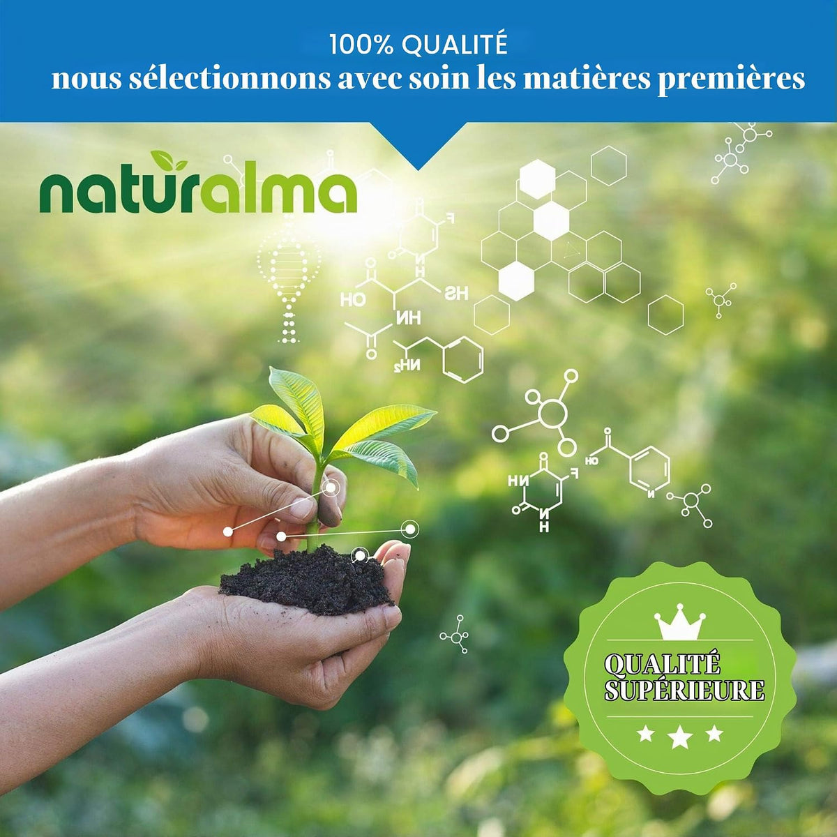 Propolis Spray (Propolis) Resin Mother Tincture Hydroalcoholic Naturalma - Liquid Extract 30 ml - Dietary Supplement
